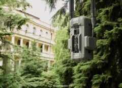 Fototrappole con SIM utilizzate per la videosorveglianza di parchi e ville