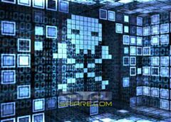 Navigando nel Labirinto Digitale Bug, Uso e Privacy