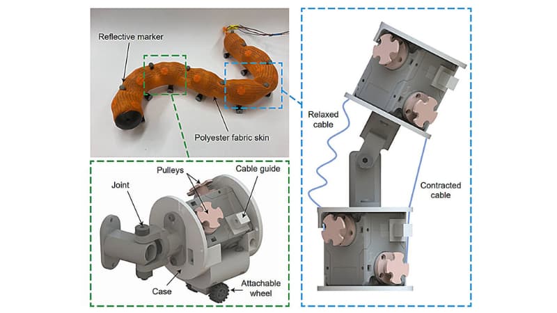 robot-senza-arti-simili-a-vermi-per-ricerche-e-salvataggio