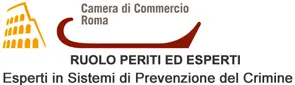 Esperto sistemi di prevenzione del crimine