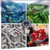 Telecamera nascosta in quadro personalizzato: quattro motivi esempio con frecce rosse che mostrano dove si nasconde l'obiettivo invisibile da 2 mm
